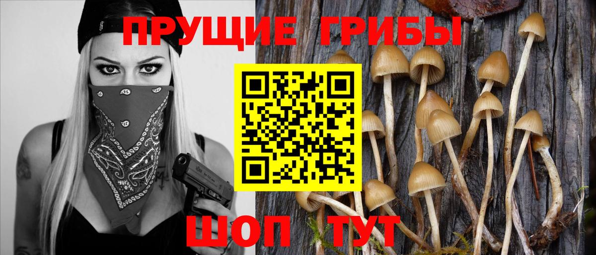 Галлюциногенные грибы GOLDEN TEACHER Выкса