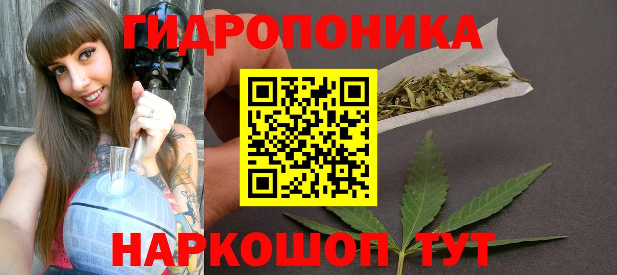 Бошки Шишки конопля  Вход с VPN  МАРИХУАНА индика  Выкса  Каннабис семена 